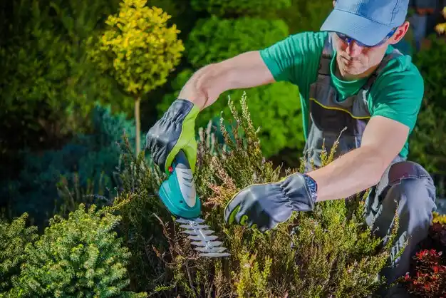 landscaping services Willow Springs